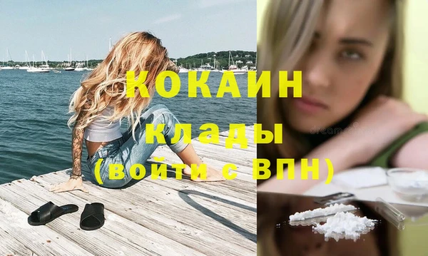 гашик Медвежьегорск
