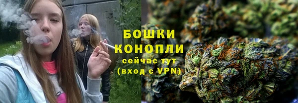 гашик Медвежьегорск