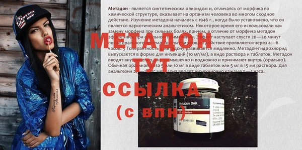 шишки Фёдоровский