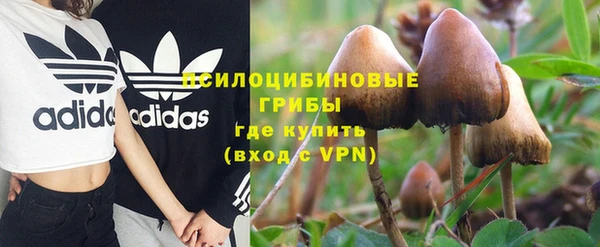 спиды Мегион